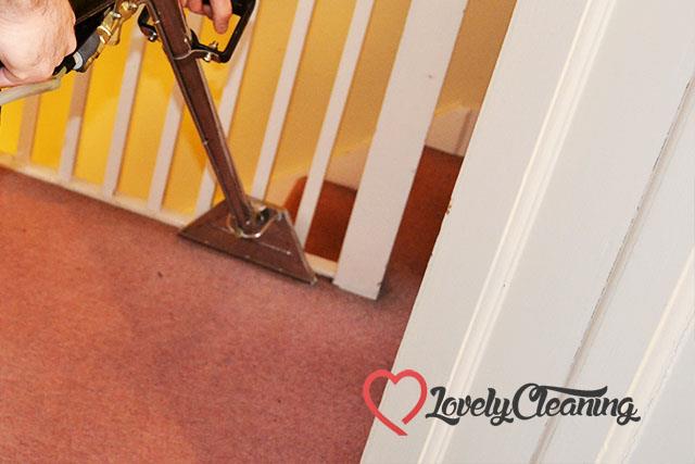 Carpet Cleaning