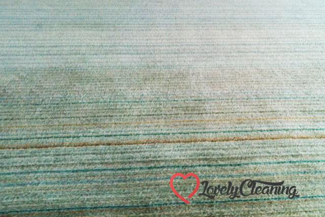 Carpet Cleaning